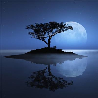 半岛手机综合体育登录