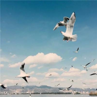 BOB半岛·中国官方网站入口