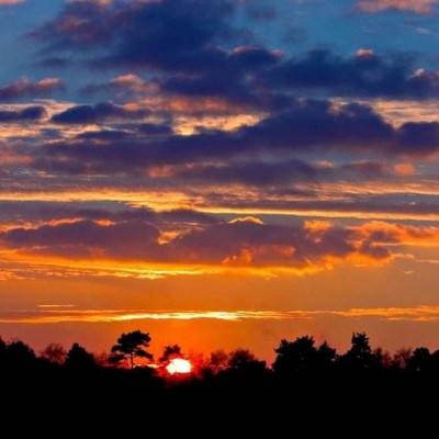 安博体育app官方下载入口